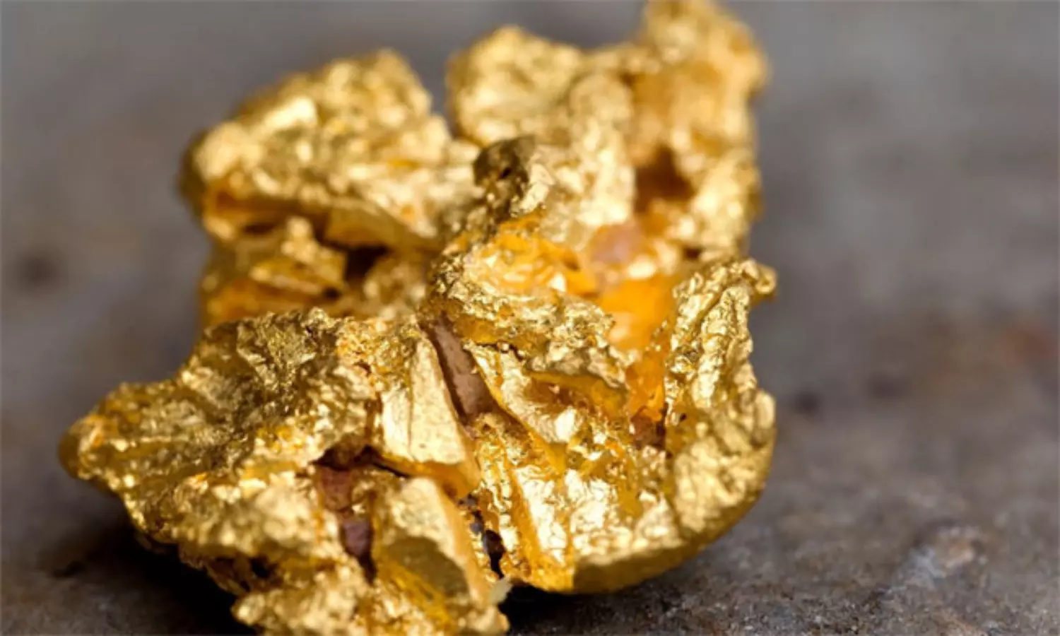 బంగారుబాతు కాదు బంగారు బ్యాక్టీరియా.. దొరికిందో కోటీశ్వరుడే!