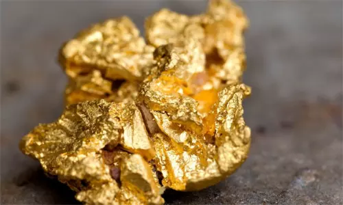 బంగారుబాతు కాదు బంగారు బ్యాక్టీరియా.. దొరికిందో కోటీశ్వరుడే!