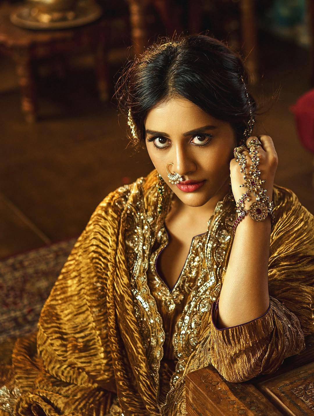 Nabha Natesh Radiates Traditional Charm