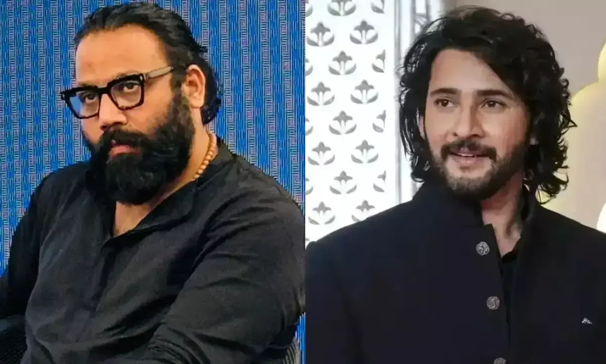 మహేష్కు సందీప్ వంగా ఘాటైన సందేశం! మహేష్కు సందీప్ వంగా ఘాటైన సందేశం!