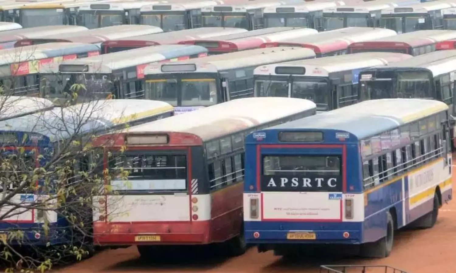 మైసూర్ పాక్ లో మైసూర్ లేదుగా...ఫ్రీ బస్సులో ఫ్రీ లేదా ? మైసూర్ పాక్ లో మైసూర్ లేదుగా...ఫ్రీ బస్సులో ఫ్రీ లేదా ?