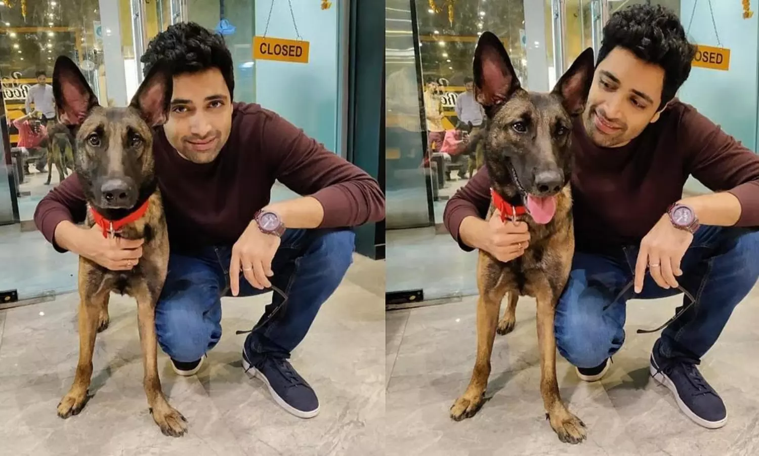 కుక్కలను తొలగించొద్దు.. స్టార్ హీరో లేఖ కుక్కలను తొలగించొద్దు.. స్టార్ హీరో లేఖ