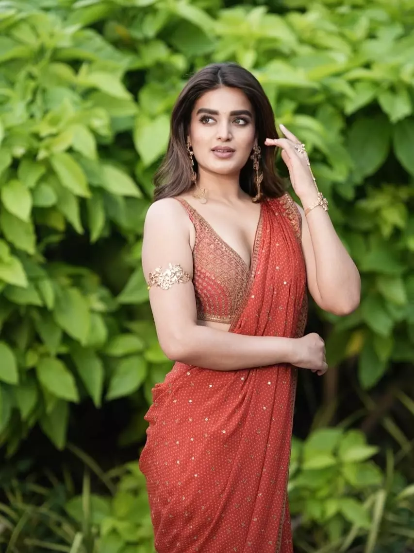 Nidhhi Agerwal’s Gorgeous Saree Moment