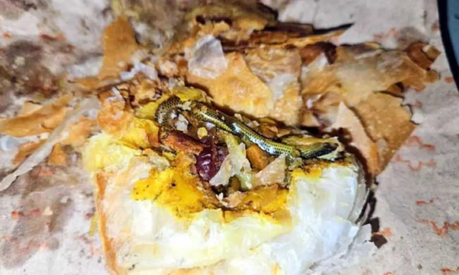 కర్రీ పఫ్ లో పాము పిల్ల.. యజమాని నిర్లక్ష్యానికి మహిళ ఏం చేసిందంటే?