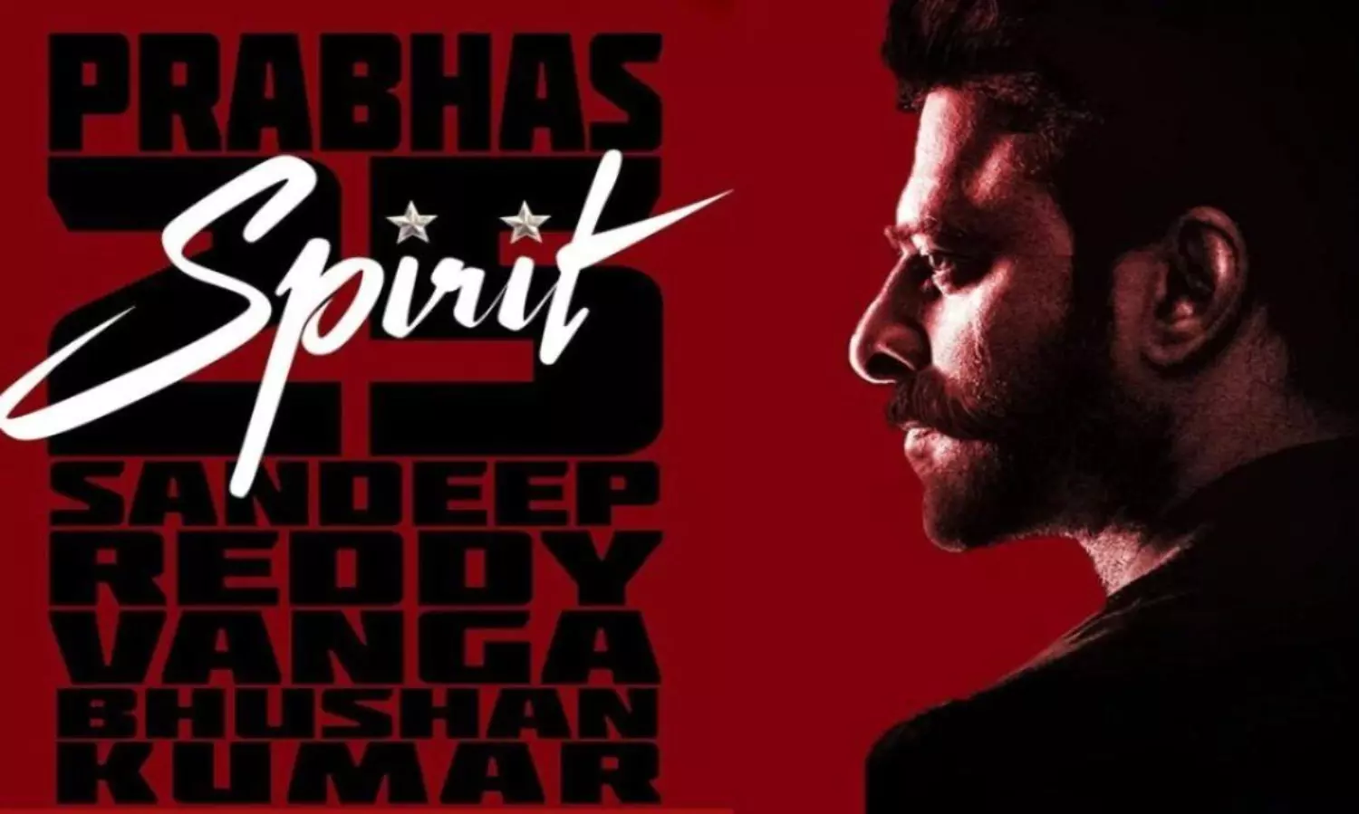 ప్రభాస్ స్పిరిట్.. సందీప్ వన్ ఇయర్ ప్లాన్..?