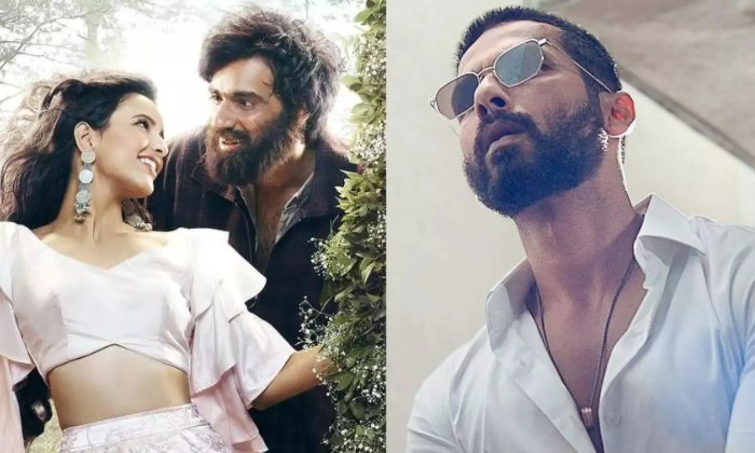 మాజీ ప్రియుడితో ట్రిప్తి ఇక్క‌ట్లు