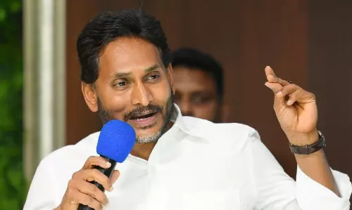 జగన్ పార్టీ వారసత్వం ఆమెకు ?