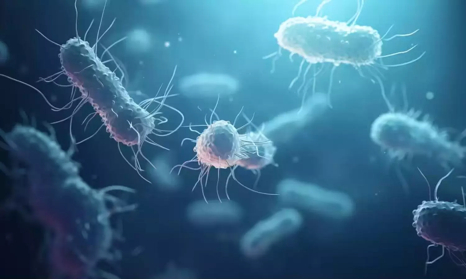 బ్ర‌కోలి తిన్నారా? మిడ్ నైట్ ఇద్ద‌రిని చంపేసిన బ్యాక్టీరియా!