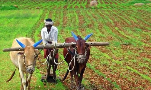 అమెరికా వాణిజ్య కఠిన నిర్ణయాలు: భారతీయ వ్యవసాయంపై ప్రభావం