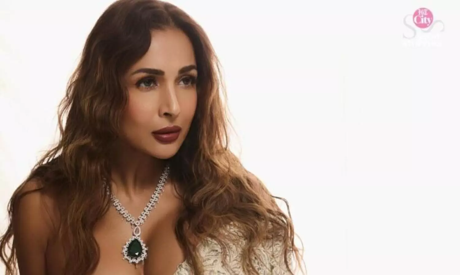 మ‌లైకా అరోరా స్ట‌న్నింగ్ లుక్ వైర‌ల్