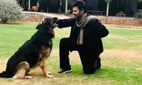 వెంకీ ఇంట విషాదం