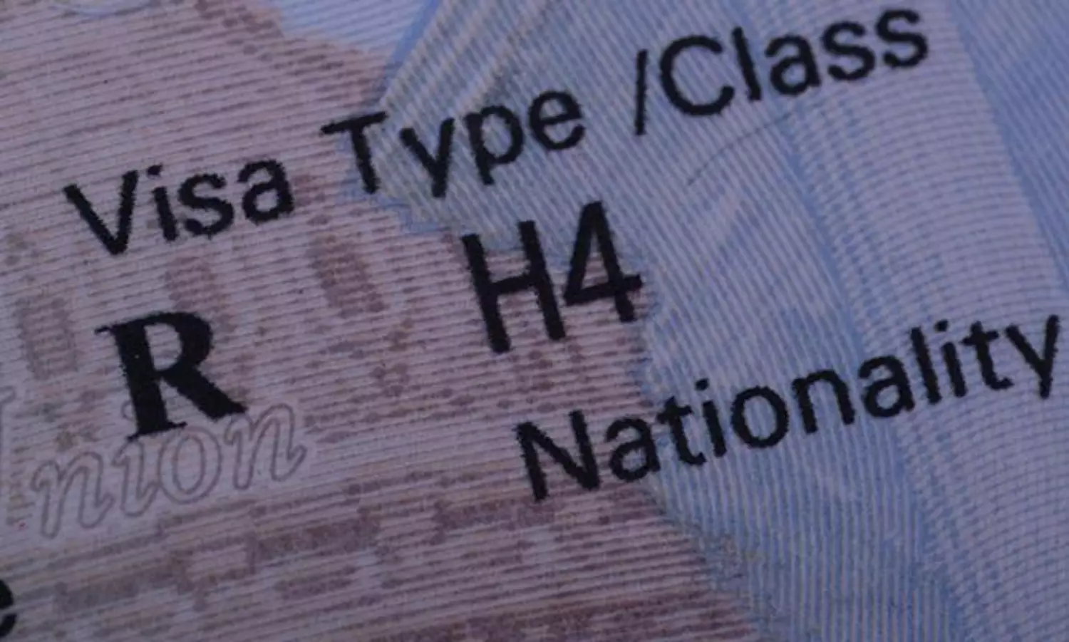 H4 EAD రద్దు రూమర్లు: నిజమెంత? భారతీయ కుటుంబాల్లో పెరుగుతున్న ఆందోళన H4 EAD రద్దు రూమర్లు: నిజమెంత? భారతీయ కుటుంబాల్లో పెరుగుతున్న ఆందోళన
