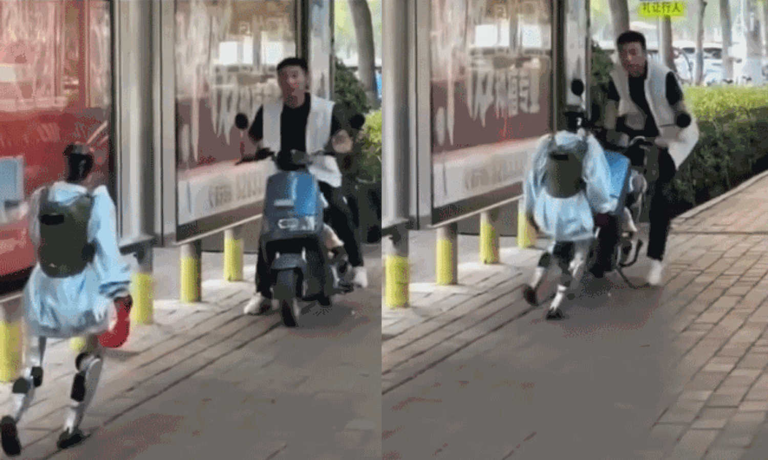 ఆటపట్టించిన రోబో... ఫిదా అవుతున్న నెటిజన్లు