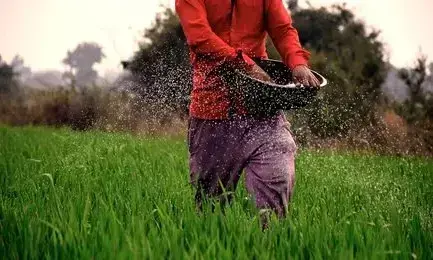 ఫేకు-సాకు.. స‌ర్కారుకు బ్రేకు.. !