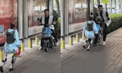 ఆటపట్టించిన రోబో... ఫిదా అవుతున్న నెటిజన్లు