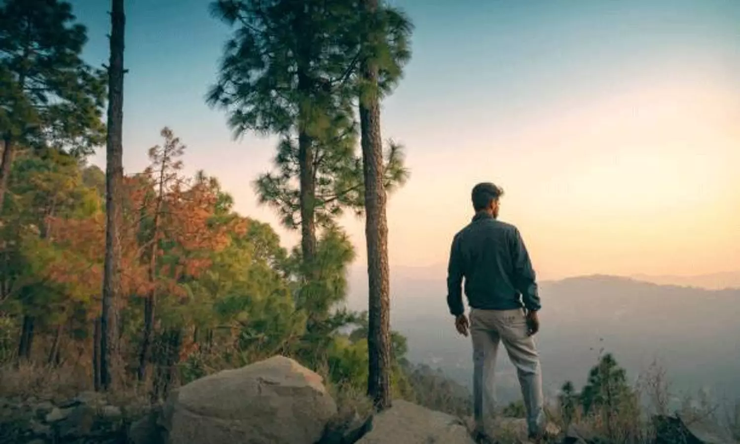 జీవితమే అసలైన గురువు