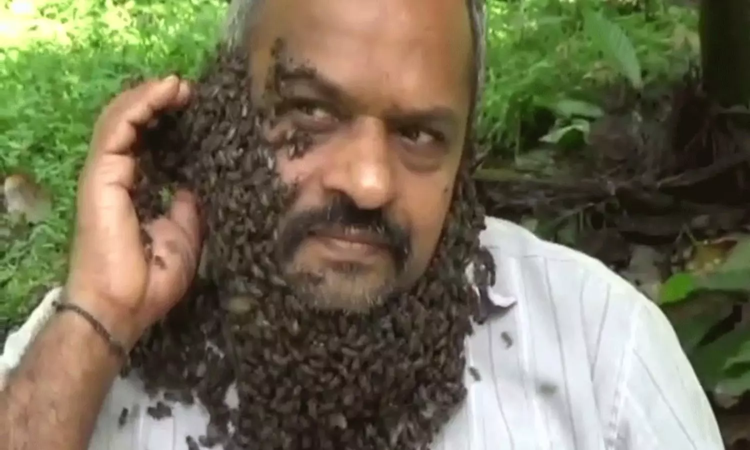 గడ్డంగా తేనేటీగలు.. ఈ కర్ణాటక రైతు వాటి స్నేహితుడు