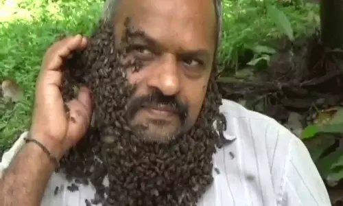 గడ్డంగా తేనేటీగలు.. ఈ కర్ణాటక రైతు వాటి స్నేహితుడు