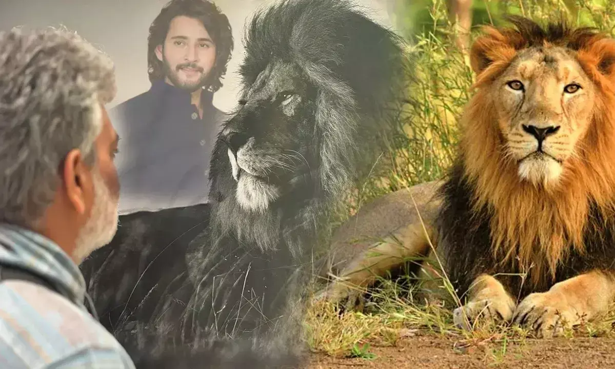 SSMB 29: లయన్‌తో మహేష్ వీడియో.. ఇదెక్కడి హడావుడి బాబు!