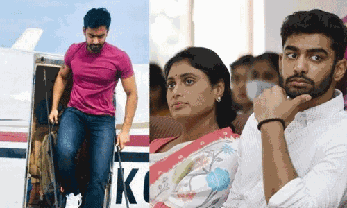 రాజకీయాల్లోకి వైఎస్ రాజారెడ్డి ?