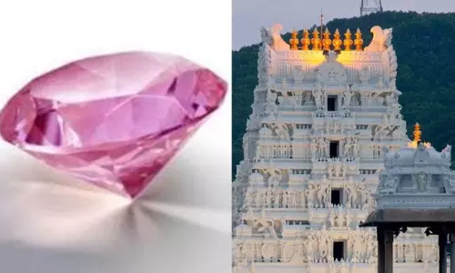 శ్రీవారి పింక్ డైమండ్ పై ఇంపార్టెంట్ అప్డేట్.. ఏడేళ్ల వివాదానికి తెర?