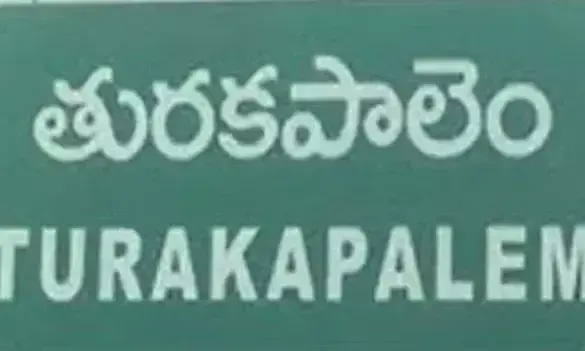 తురకపాలెం మరణాలకు మెలియోడోసిస్ వైరస్సే కారణమా? రిపోర్టులు ఏం చెబుతున్నాయి?