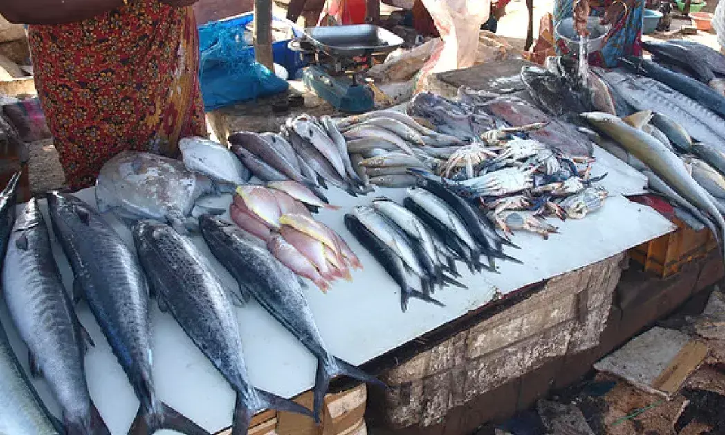 జలపుష్పాల ఆరగింపు తెలుగు రాష్ట్రాల్లో తక్కువే