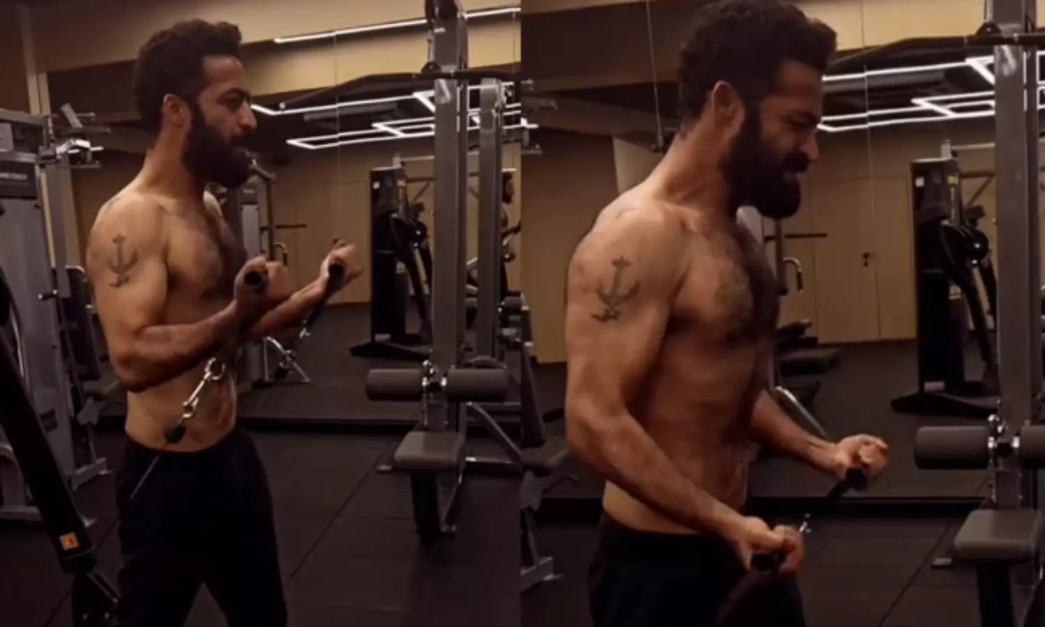 తారక్ జిమ్ వర్కౌట్ వీడియో ఔట్.. ఏంది సామీ ఆ డెడికేషన్ తారక్ జిమ్ వర్కౌట్ వీడియో ఔట్.. ఏంది సామీ ఆ డెడికేషన్