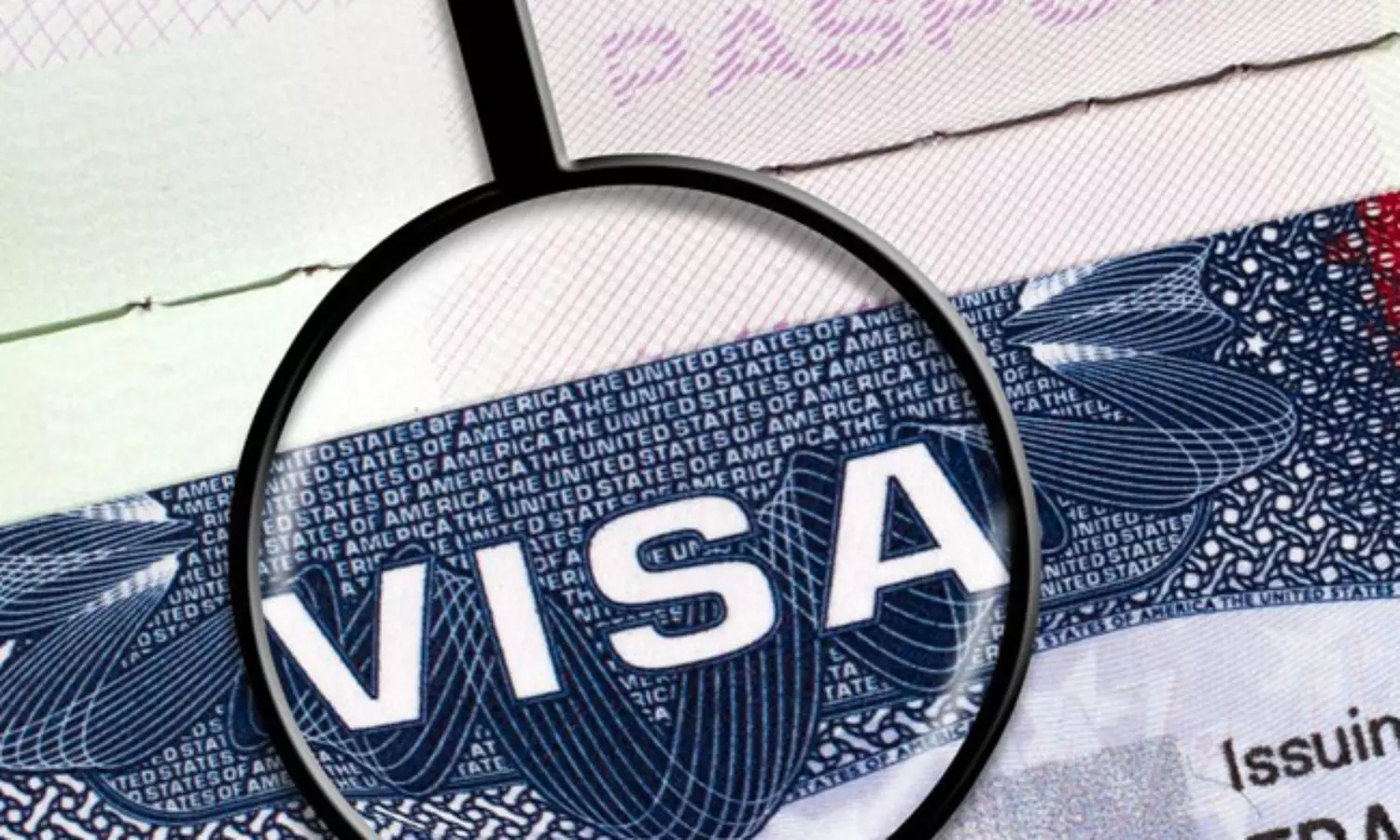 భారత కంపెనీల టాప్ ఆఫీసర్ల వీసాలు రద్దు.. కారణం ఇదే!
