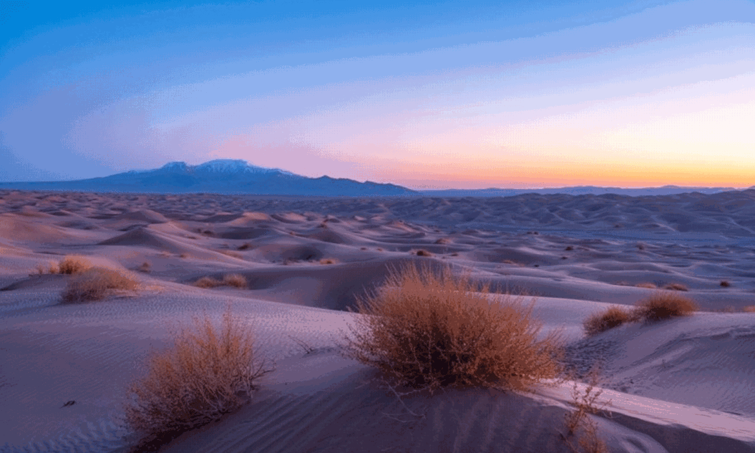 జాబ్ కోసం ఆ దేశం వెళ్లద్దన్న కేంద్రం.. ఒక వేళ వెళ్తే ఈ జాగ్రత్తలు తీసుకోవాల్సిందే.. జాబ్ కోసం ఆ దేశం వెళ్లద్దన్న కేంద్రం.. ఒక వేళ వెళ్తే ఈ జాగ్రత్తలు తీసుకోవాల్సిందే..