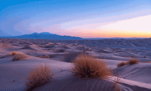 జాబ్ కోసం ఆ దేశం వెళ్లద్దన్న కేంద్రం.. ఒక వేళ వెళ్తే ఈ జాగ్రత్తలు తీసుకోవాల్సిందే..