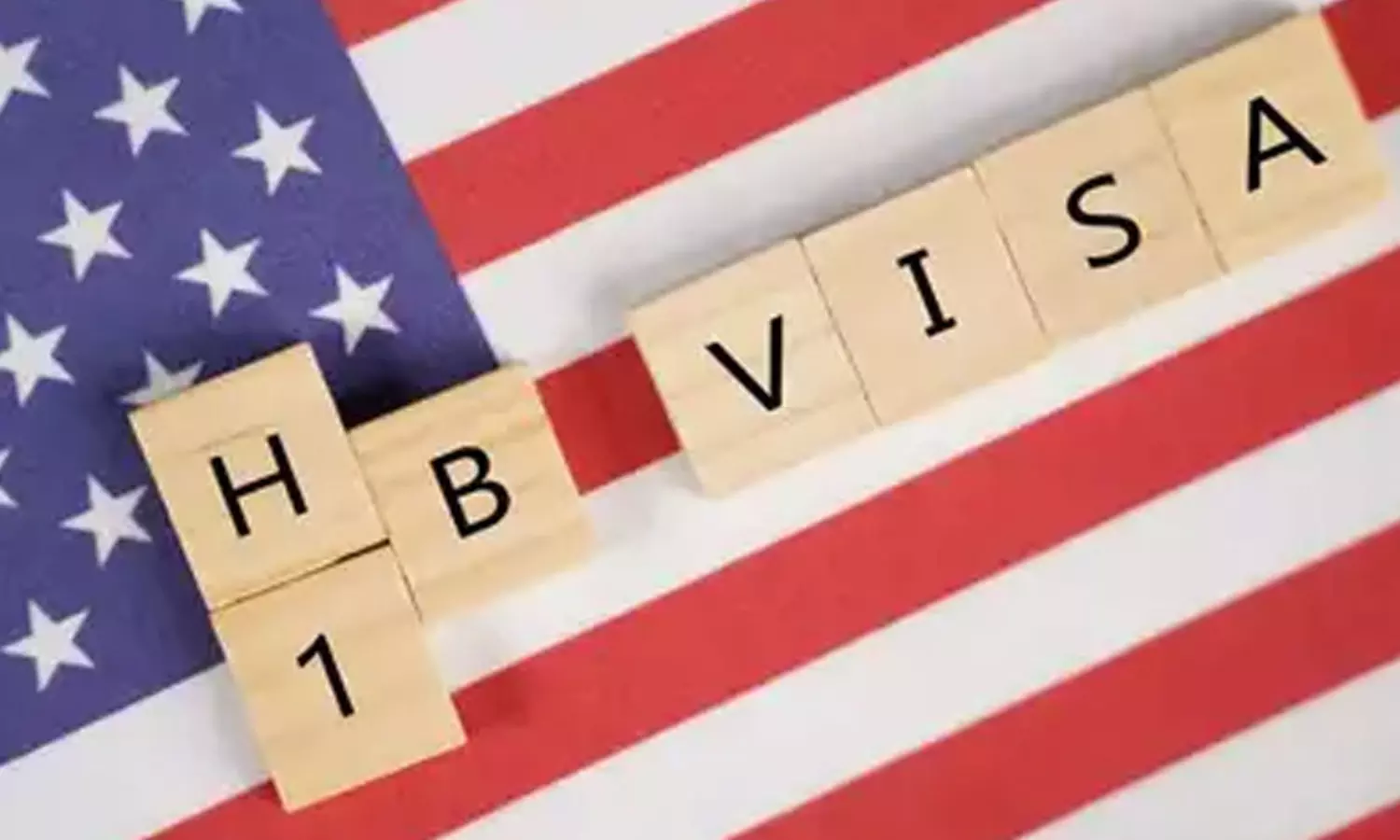 హెచ్1బీ వీసా: రాజకీయ కుట్రల్లో భారతీయ ఉద్యోగులు బలి హెచ్1బీ వీసా: రాజకీయ కుట్రల్లో భారతీయ ఉద్యోగులు బలి