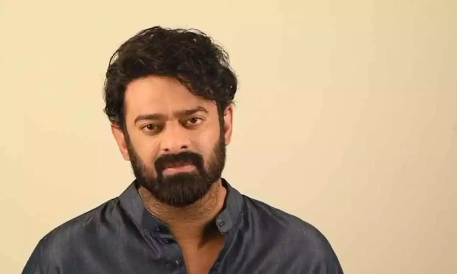 ప్రభాస్ ను నింధిస్తే ఎలా?