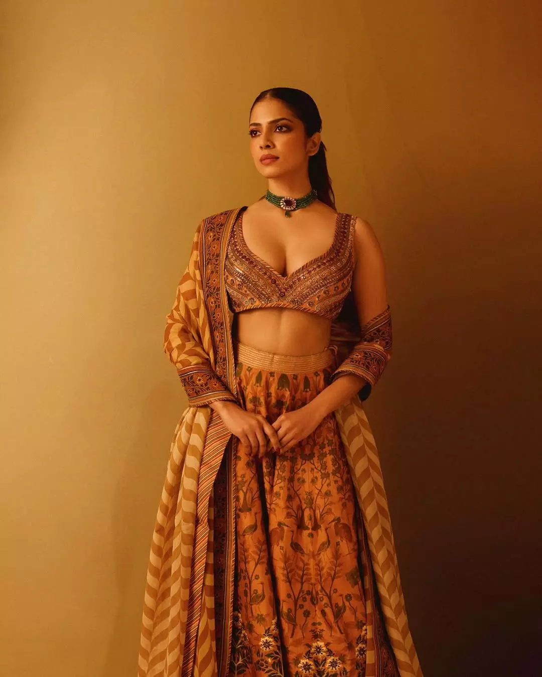 Malavika Mohanan Slays in Traditional Dress