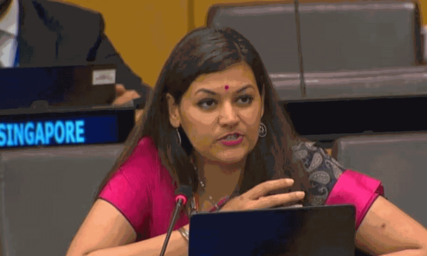 పాక్ ప్రధానికి ఐరాసలో ఇచ్చిపడేసిన భారత దౌత్యవేత్త.. ఎవరీ పేటల్ గహ్లోత్