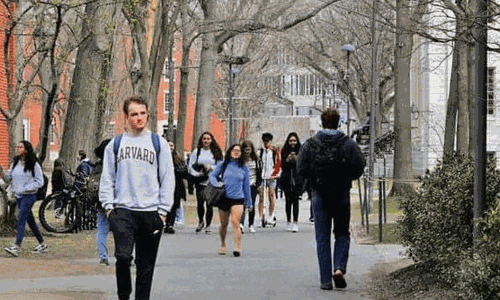 అమెరికాలో ఇండియన్‌ విద్యార్థుల భారీ తనిఖీలు.. కలకలం