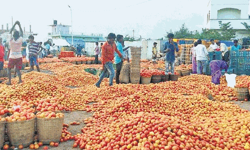 కేజీ టమోటా రూపాయి.. రైతుల కంట కన్నీళ్లు పెట్టిస్తున్న ధర
