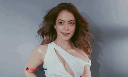 20 నిమిషాల్లో జరిగిపోయింది.. రాజమౌళి, అమీర్ పాత్రలపై నటి ఏమన్నారంటే?