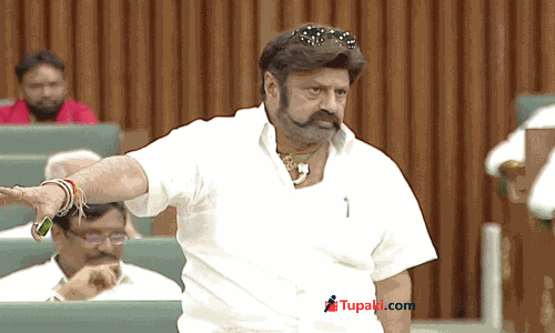 గుస్సా బాలయ్య...ఏం సాధించారయ్యా ?