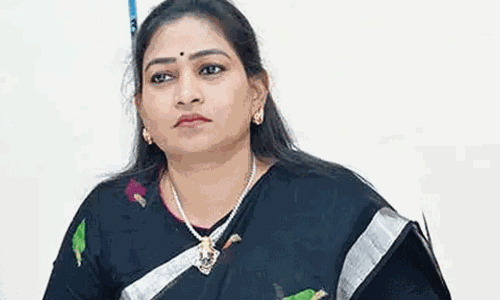 తాటి చెట్లు అడ్డు పెట్టి.. మంత్రిని ఆపేశారు:  ఏపీలో సంచ‌ల‌నం