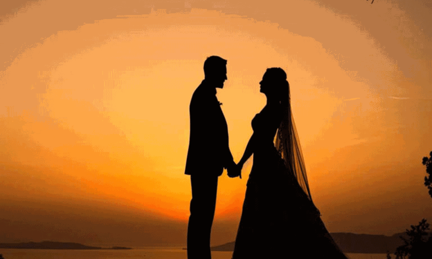 అటవీ అందాల వేదికగా తెలంగాణ పెళ్లి పీటలు