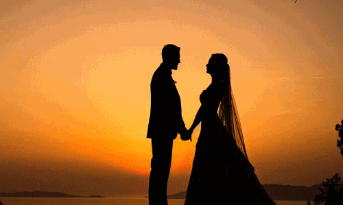 అటవీ అందాల వేదికగా తెలంగాణ పెళ్లి పీటలు