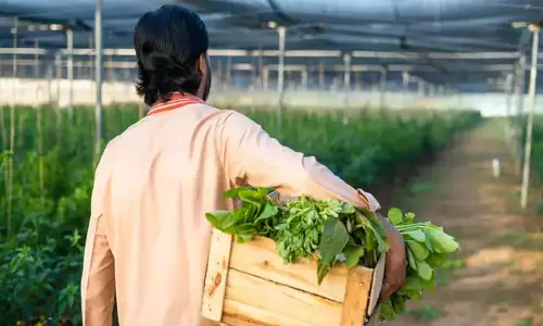 సాఫ్ట్ వేర్ ఇంజినీర్లకు కష్టకాలం.. వ్యవసాయం చేసుకోవాల్సిందేనా?