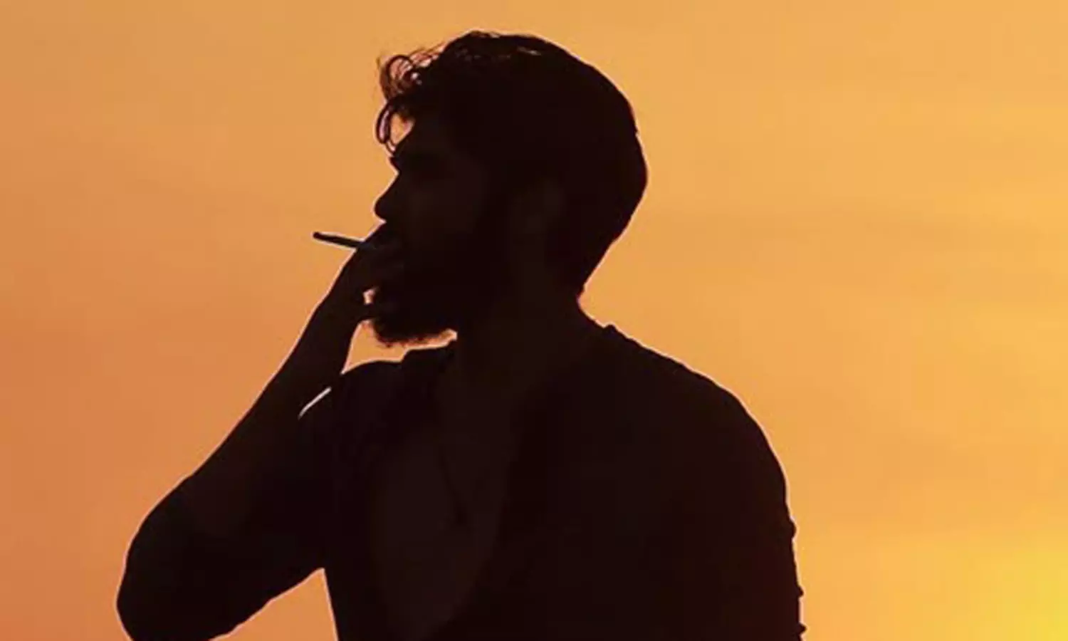 రెండు సినిమాలు తర్వాత ఇదే మొదటి మూవీ అంటున్న స్టార్ సన్..!