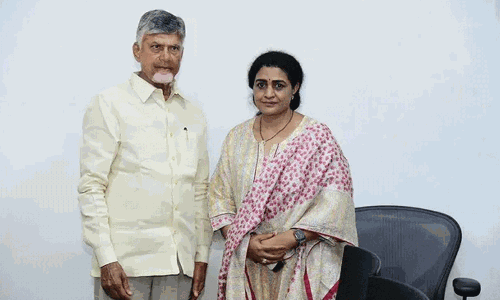 టీటీడీపీ ప్రెసిడెంట్ గా నందమూరి ?