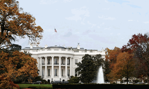 మా ట్రంప్ కే ఇవ్వరా.. నోబెల్ కమిటీపై వైట్ హౌస్ కారాలు మిరియాలు