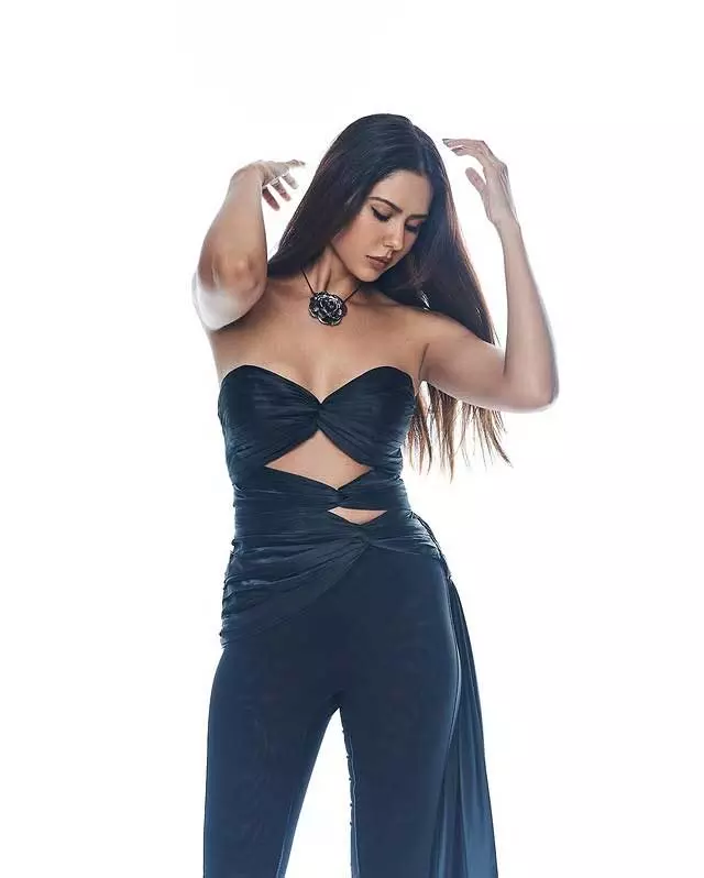 Sonam Bajwas Elegant look: A Perfect Blend of Glamour and Elegance