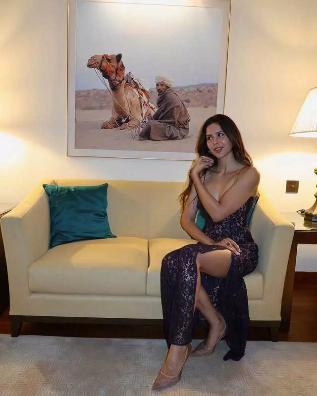 Sonam Bajwas Elegant look: A Perfect Blend of Glamour and Elegance