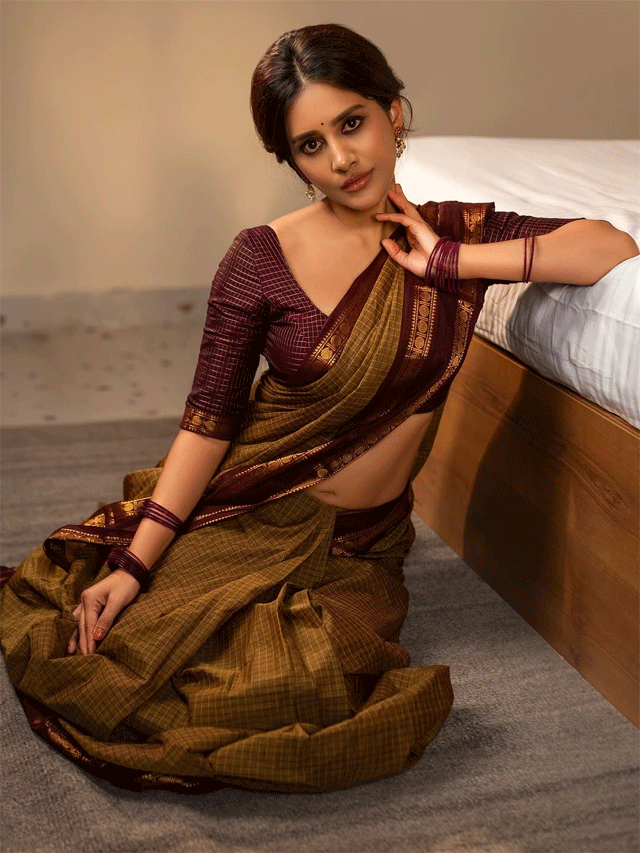 Nabha Natesh’s Dawn of Joy