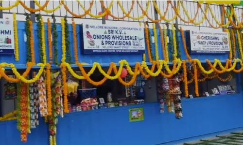 నెల్లూరులో స్మార్ట్ స్ట్రీట్.. కంటైనరు బజారులో ఏమున్నాయో తెలుసా?